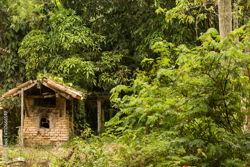 Casa construída com tijolos de barro coberta por vegetação. Mata Atlântica brasileira, São Paulo, Brasil. 