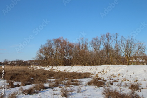 A snowy field with trees