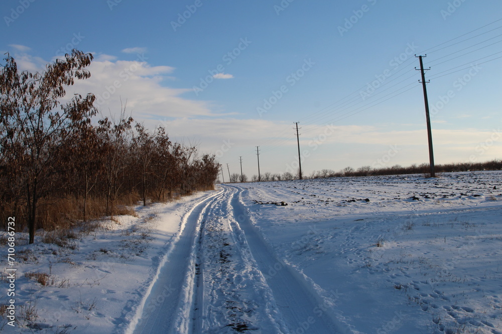 Obraz premium A snowy road with trees