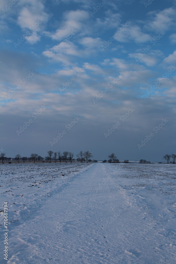 A snowy field with trees and blue sky