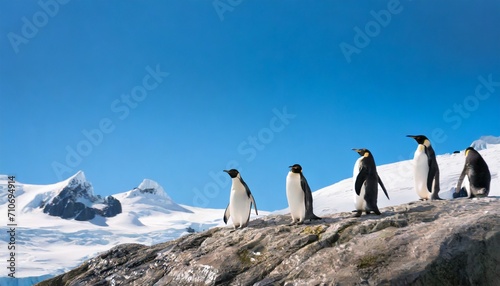 the group shot of a mature antarctic penguin colony standing on ice rock near glaciers under clear blue sky 