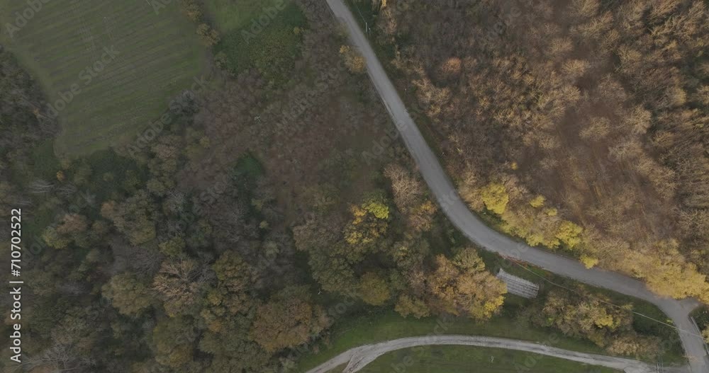 Aerial view of vineyards on the hill at sunset in Autumn, Irpinia, Avellino, Campania, Italy.