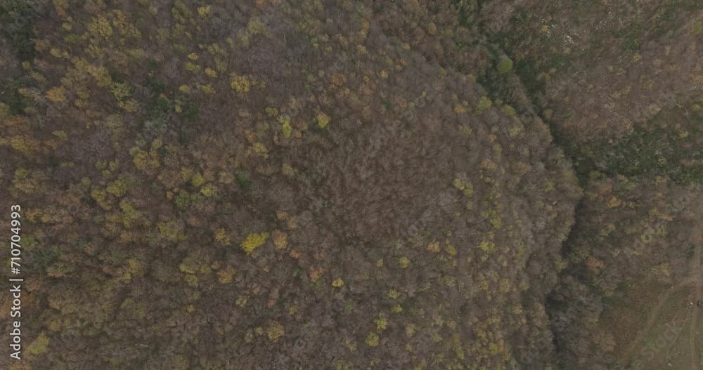 Aerial view of Mount Pergola with forest trees in Serino, Irpinia, Avellino, Campania, Italy. Aerial view of Mount Pergola with forest trees in Serino, Irpinia, Avellino, Campania, Italy.
