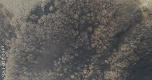 Aerial view of forest trees on Picentini mountain range near Laceno Lake (Lago Laceno) in Bagnoli Irpino, Avellino, Irpinia, Campania, Italy. photo