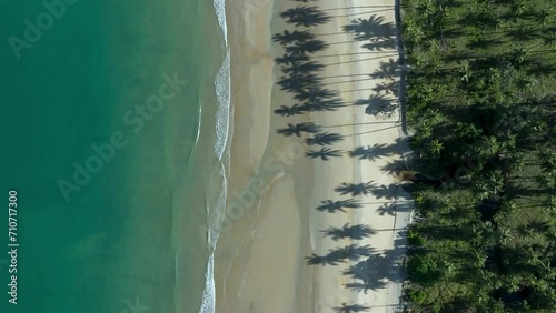 Aerial view of San Vicente's Long Beach, a coastline with palm trees and white sand beach, San Vincente, Philippines. photo