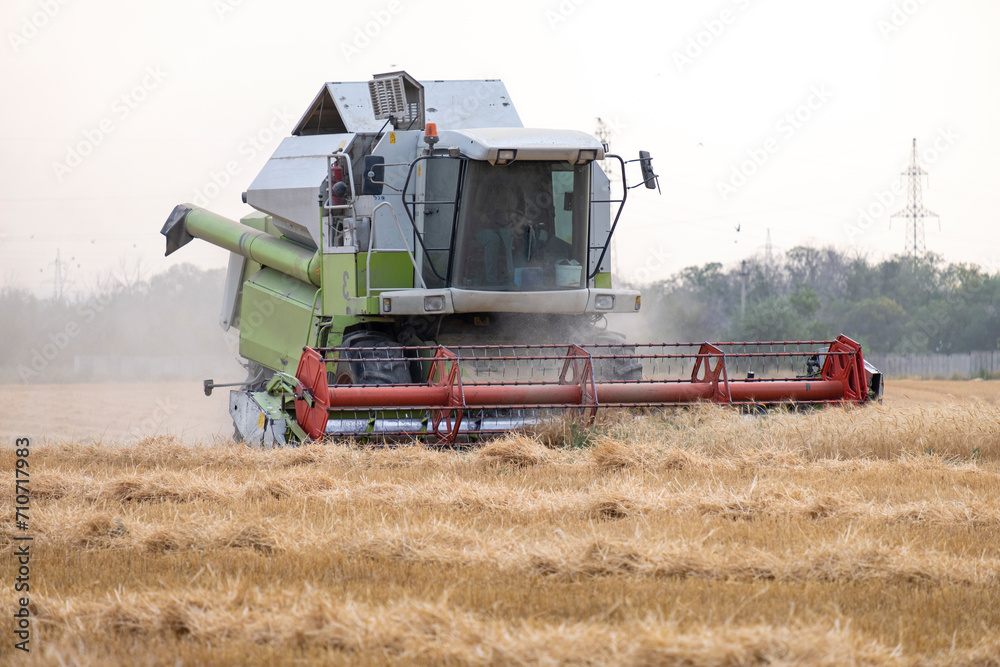 A combine harvester harvests in a wheat field against the backdrop of an epic sunset before the rain. A combine harvester harvests in a wheat field against the backdrop of an epic sunset before the rain.