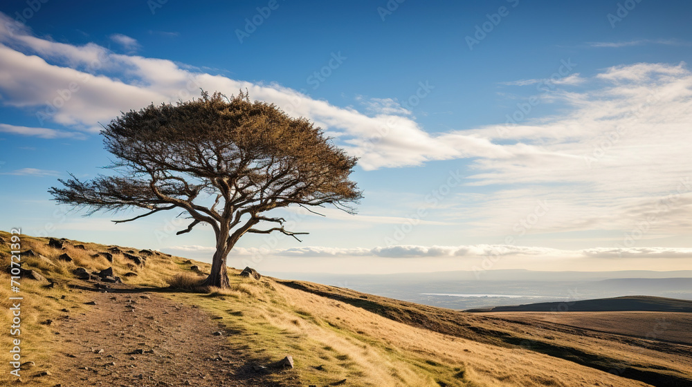 tree on the hill. Generative Ai tree on the hill. Generative Ai