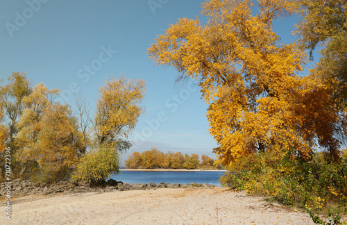 Beautiful autumn landscape with lake and multicoloral trees. Picturesque place with lake and tall trees with sunlight