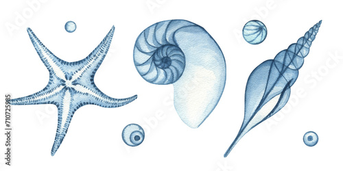 Watercolor nautical illustration, blue transparent shells, starfish and bubbles. Drawing on a white background for postcards, stickers, scrapbooking, posters, prints. photo
