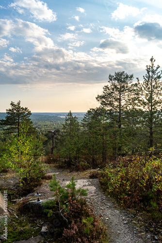 Rorest in Rovaniemi Lapland 
Finland Sunset