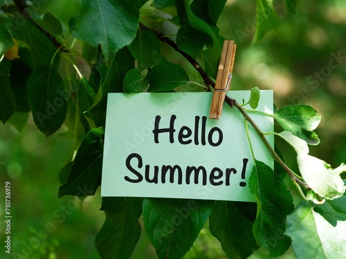 A green paper note with words Hello Summer! hanging on a tree branch. © rosinka79