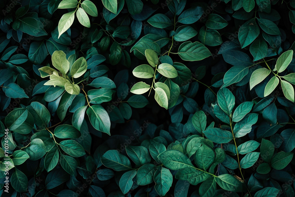 Lush Green Foliage Texture Lush Green Foliage Texture