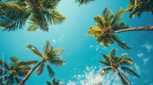 Tropical Palms Against Blue Sky