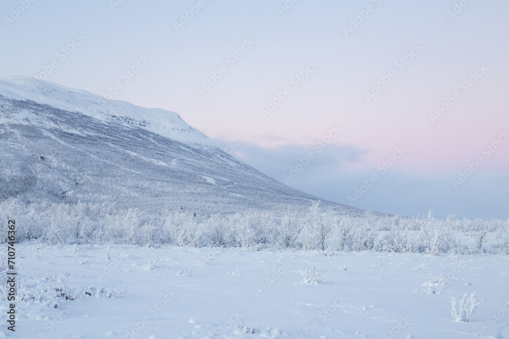 Abisko National Park (Abisko nationalpark) in winter scenery. Sweden, Arctic Circle, Swedish Lapland