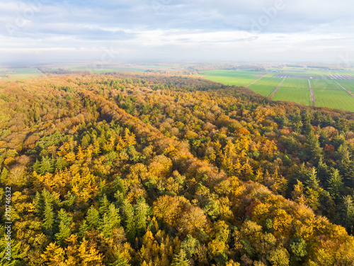 Aerial view of ancient mixed forest Rijsterbos in autumn colours, Rijs, Gaasterland, Friesland, Netherlands.