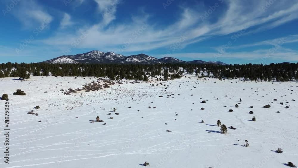 Aerial Video of a snow covered prairie at the base of Kendrick Peak, Pine trees and stunning views, Belmont Arizona, America, USA. Aerial Video of a snow covered prairie at the base of Kendrick Peak, Pine trees and stunning views, Belmont Arizona, America, USA.