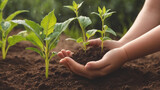 The right hand of the child is planting seedlings into the soil and there are dew drops, ecology concept.