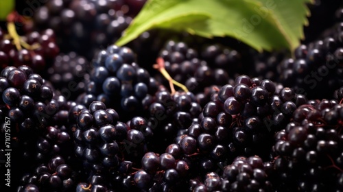  a close up of a bunch of blackberries with a green leaf on the top of one of the berries.