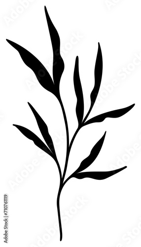 Leaf Silhouette Design | Original Hand Drawn Vector Plant 