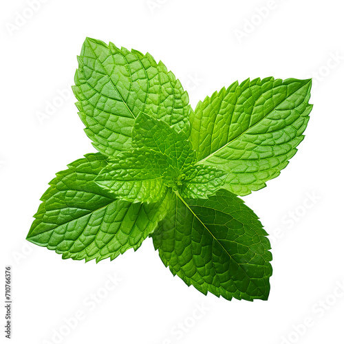 mint leaves isolated on white background, png