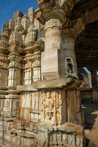 A monkey at the ruins of Chittorgarh Fort in Chittogarh, Rajasthan, India.