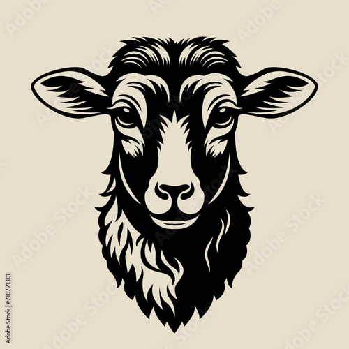 Sheep's Head farm animal black color photo