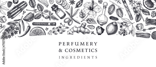 Perfumery and cosmetics ingredients banner. Flower, fruit, spice, herb sketches. Hand drawn vector illustration. Cosmetics design template. Aromatic plants background