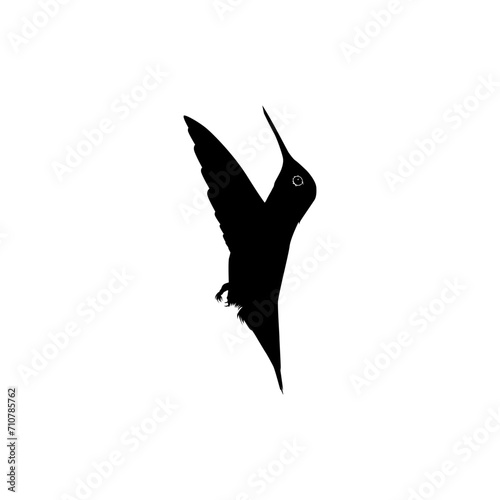 Flying Hummingbird Silhouette, can use Art Illustration, Website, Logo Gram, Pictogram or Graphic Design Element. Vector Illustration 