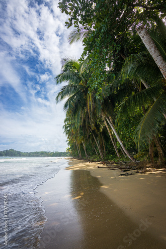 Punta Uva beach near Puerto Viejo de Talamanca  Costa Rica 