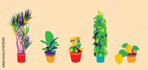 Houseplants in pots isolated vector set. Trendy popular plants, urban jungle decor. Hand drawn. Plant vectors pop art colors. Bright color plants. Ferns, fig tree, snake plant. Yellow, green, red.