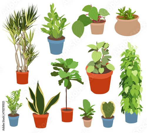 Plants in pots vector illustration set. Houseplants flat different indoor potted decorative houseplants for interior home or office decoration  green garden floral collection icons isolated on white