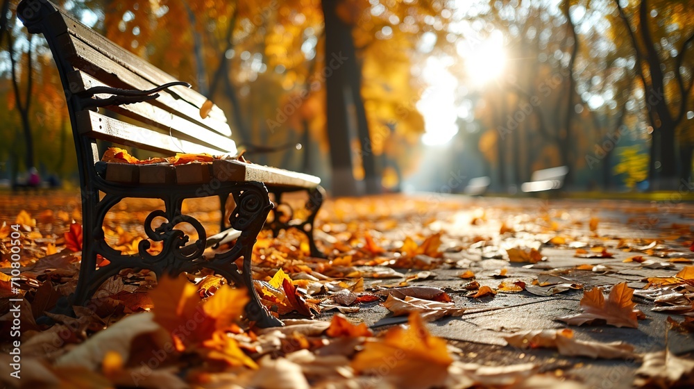 bench in autumn park - obrazy, fototapety, plakaty 