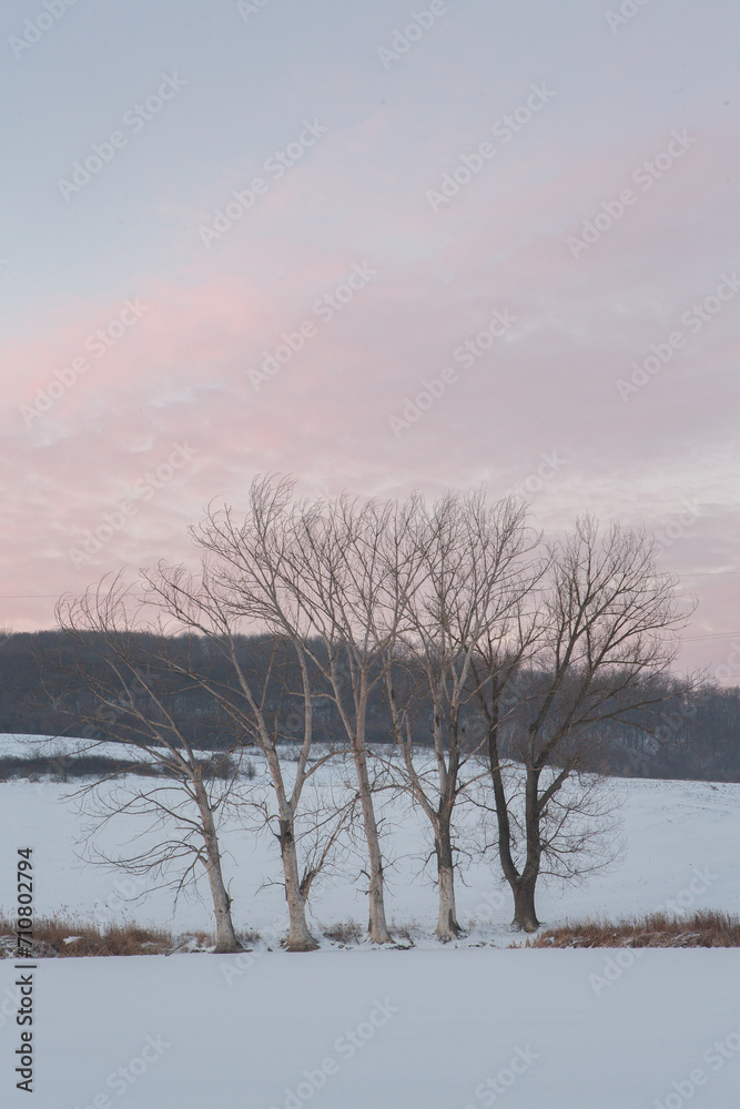 Frosty winter in Russia. Beautiful sunrise in Siberia.
Cold winter photo.
Frosty winter in Russia. Beautiful sunrise in Siberia.
Cold winter photo.