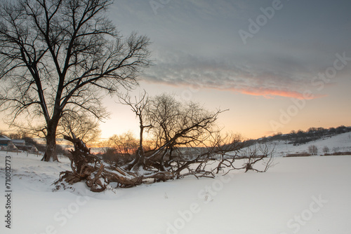 Frosty winter in Russia. Beautiful sunrise in Siberia. Cold winter photo. 