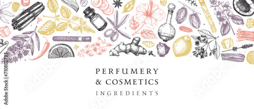 Perfumery and cosmetics ingredients banner. Flower, fruit, spice, herb sketches. Hand drawn vector illustration. Cosmetics design template. Aromatic plants background photo
