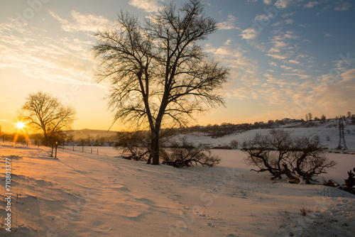 Frosty winter in Russia. Beautiful sunrise in Siberia.  Cold winter photo.  © romeof