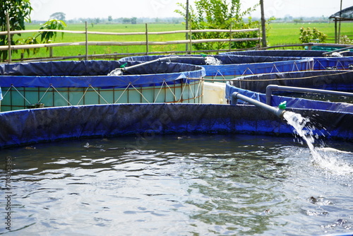 Raising and cultivating fish by using fish ponds made of round or circular tarpaulins that can maximize fish production with a narrow and limited production area in Pati, Central Java, Indonesia, Asia photo