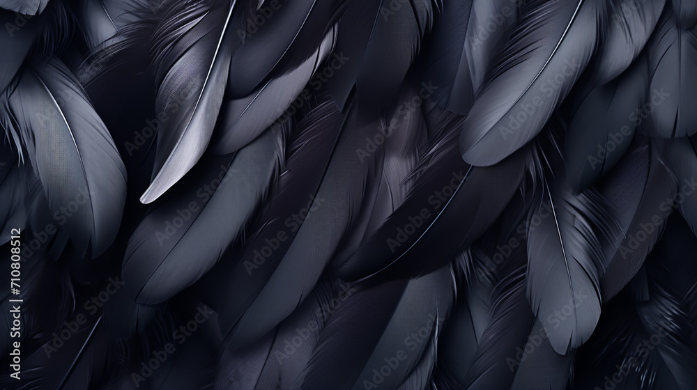 close up of texture - black feathers