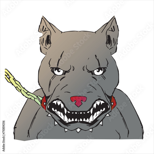 An angry dog on a chain of boxer breed baring his teeth. Vector drawing eps 10