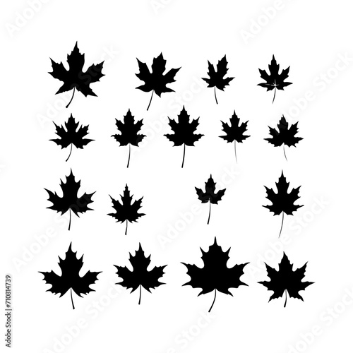 Vector of maple leaf black silhouette set. Autumn forest maple leaf icon illustration