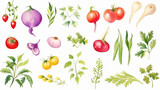 Herbs and vegetables, Cartoon drawing, Water color style, AI Generated