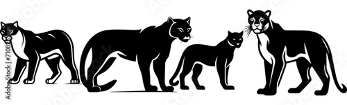 vector illustration of Panther