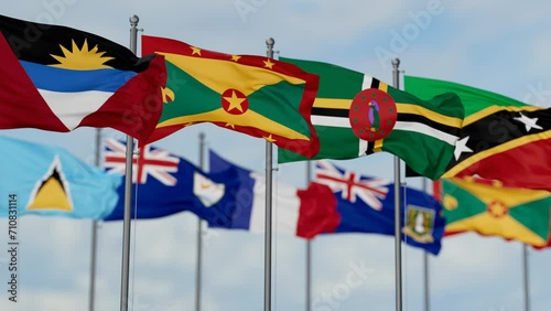 OECS or Organisation of Eastern Caribbean States flags waving together on cloudy sky, endless seamless loop