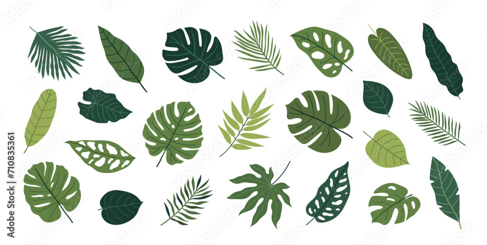 Hand-drawn tropical leaves on a white background. Botanical vector set - obrazy, fototapety, plakaty 
