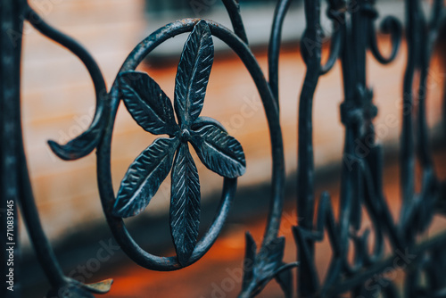 decorative plant motif in wrought iron  photo