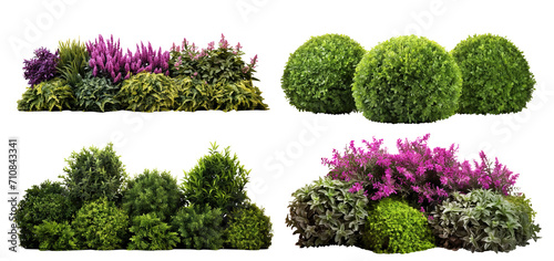 Set of lush garden bushes cut out photo