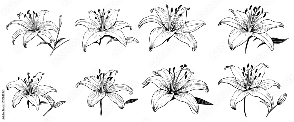 Set of luxury flowers and logo. Trendy botanical elements. Hand drawn line leaves branches and blooming.