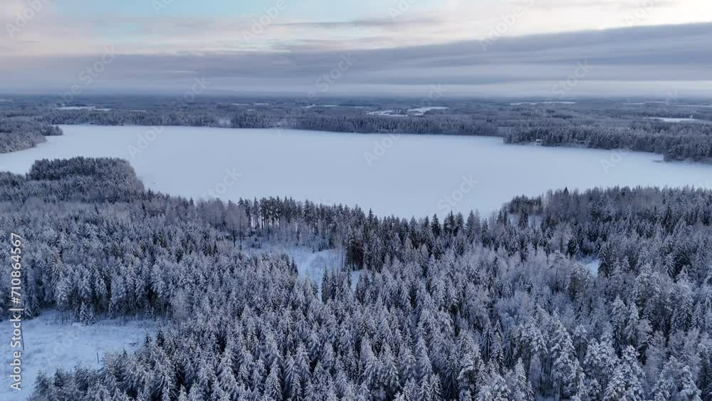 Snowy forest and icy lake in Finland winter.