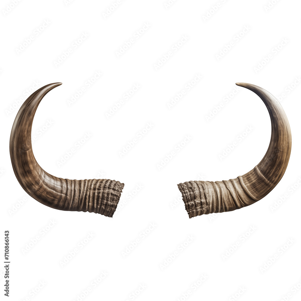 Bull horns isolated on a transparent or white background. Horn overlay