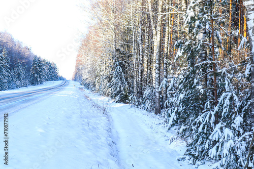 Road through snowy winter forest